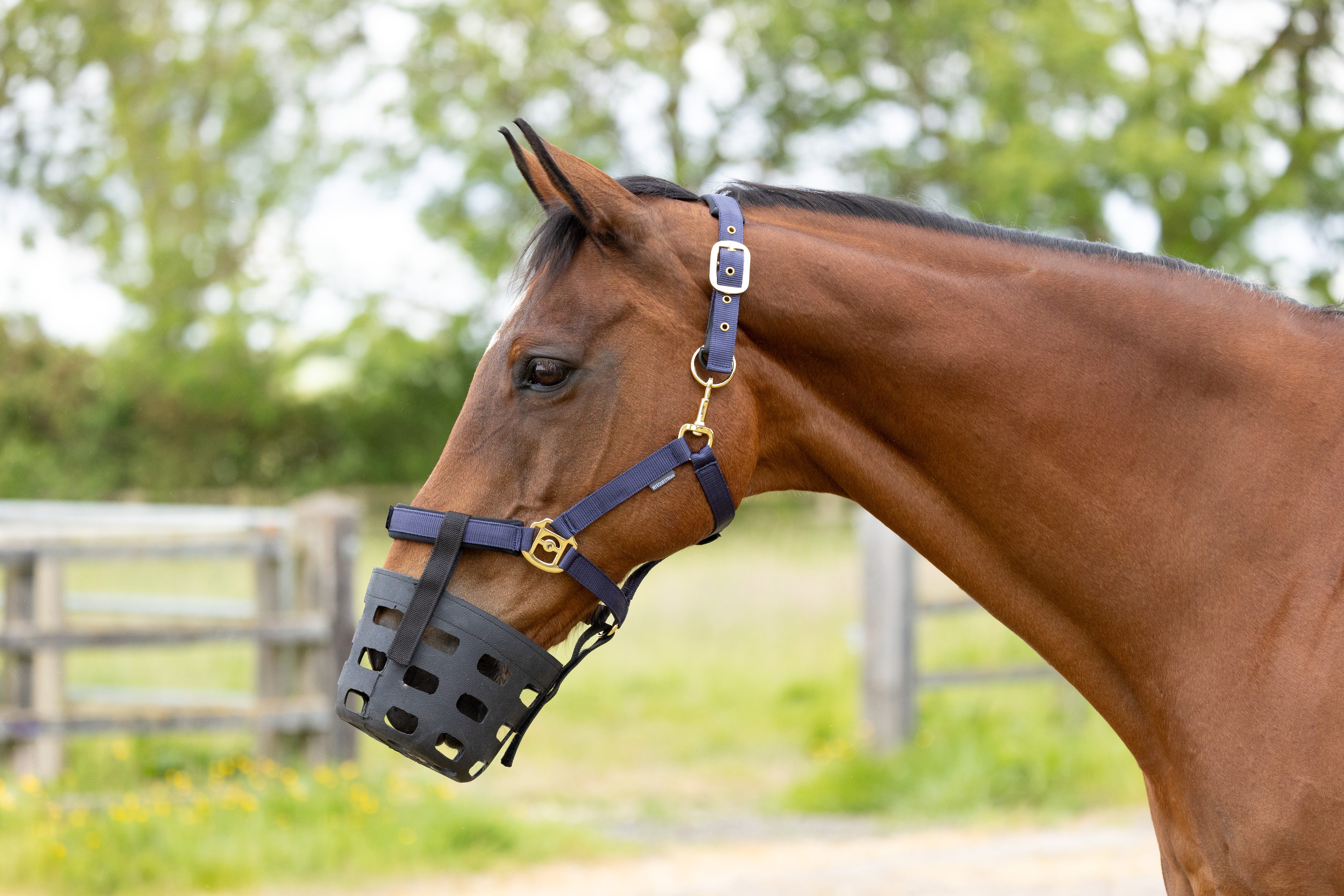 Hy Equestrian Rubber Muzzle image 3